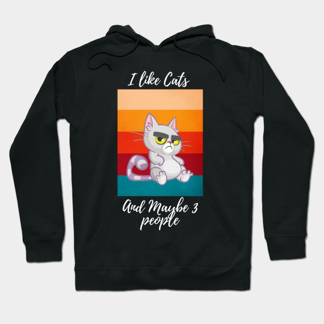 I LIKE CATS AND MAYBE 3 PEOPLE Hoodie by Perfectprints